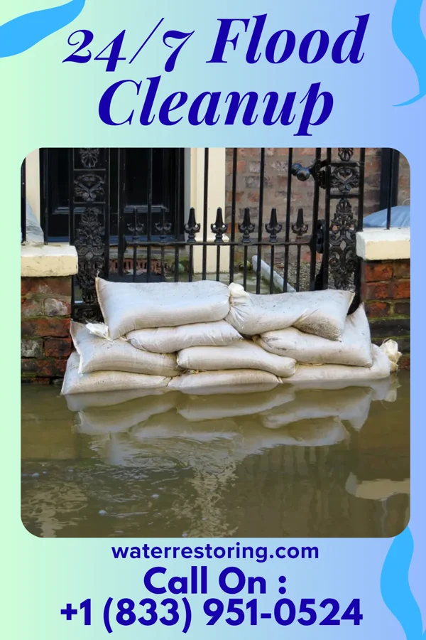 24/7 Flood Cleanup in Belvidere, SD