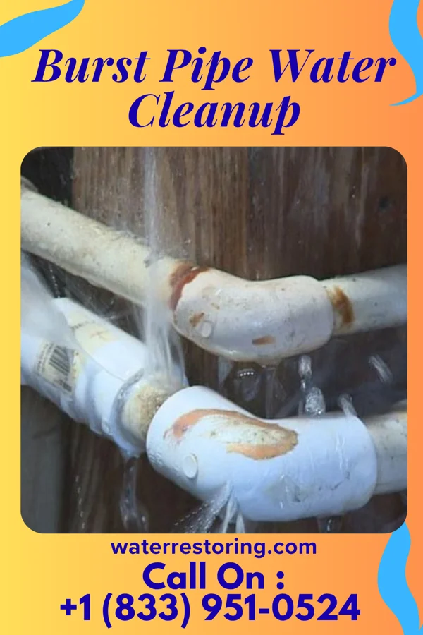 Burst Pipe Water Cleanup in Belvidere, SD