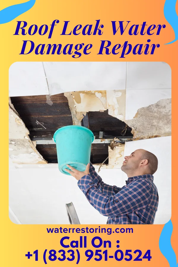 Roof Leak Water Damage Repair in Belvidere, SD