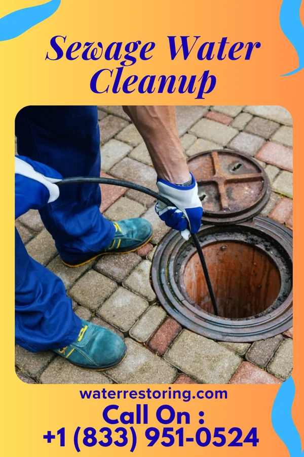 Sewage Water Cleanup in Belvidere, SD