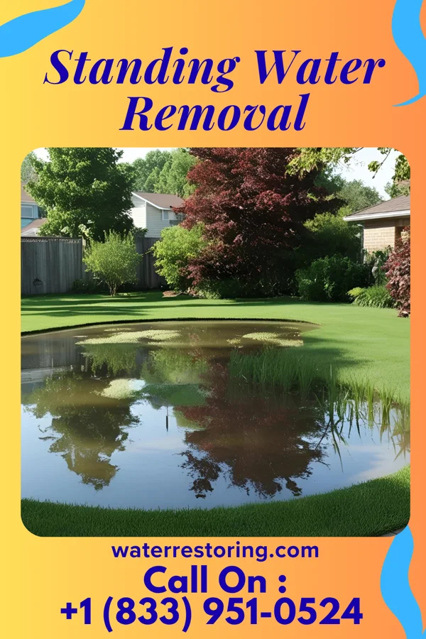 Standing Water Removal in Belvidere, SD